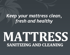Mattress Cleaning