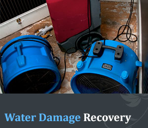 Flood & Water Damages